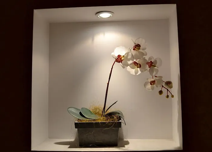 招待所 克韦多旅馆 莱昂