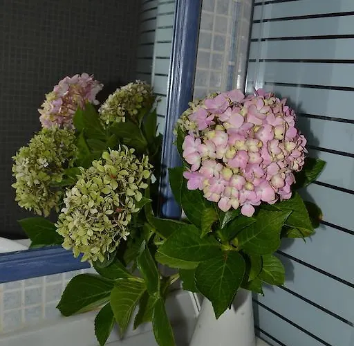 克韦多旅馆 招待所 2*